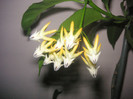 2638677320075666569WBQfxh_fs