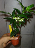2191402850075666569NObBsF_fs