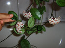 2224642620075666569KKmULF_fs