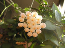 2303673190075666569caOEIc_fs