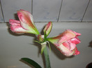 2964120050075666569lKwuiT_fs