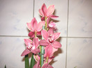 2568532020075666569RPdhEA_fs