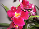 2565140780075666569TOAdPJ_fs
