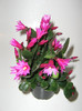 2784171500075666569Ssadkh_fs