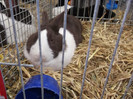 DSCF3112