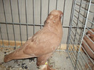 DSCF3179