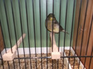 DSCF2814