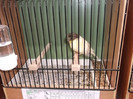 DSCF2815