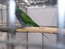 DSCF2856