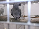 DSCF2861