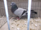 DSCF2862