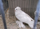 DSCF2874