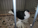 DSCF2878