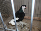 DSCF2879