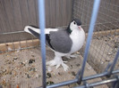 DSCF2882