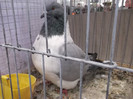 DSCF2890