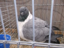 DSCF2891