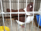 DSCF2892