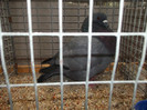 DSCF2895