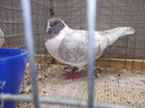 DSCF2898