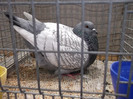 DSCF2899
