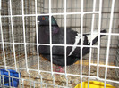 DSCF2901