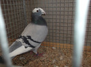 DSCF2925