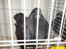 DSCF2942