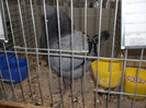 DSCF2945