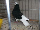 DSCF2959