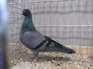 DSCF2961