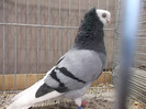 DSCF2962