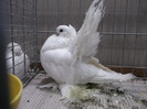 DSCF2967