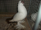 DSCF2970