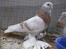 DSCF2974
