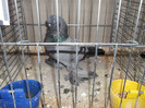 DSCF2993
