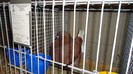 DSC02149