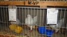 DSC02150