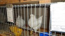 DSC02151