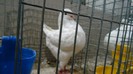 DSC02152