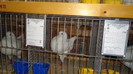 DSC02160