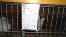 DSC02161