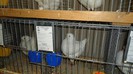 DSC02203
