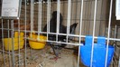 DSC02208
