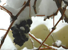 DSCN3448