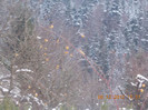 DSCN5423_910