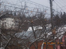 DSCN5430_917
