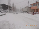 DSCN5559_1044