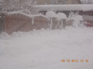 DSCN5560_1045