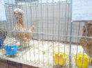 P1130606
